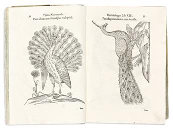 (NATURAL HISTORY.) Ulisse Aldrovandi. Ornithologiae, Hoc est De Avibvs Historiae.